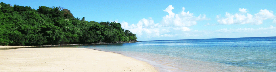 Fiji Resort