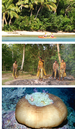 Fiji activities