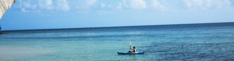 Fiji activities