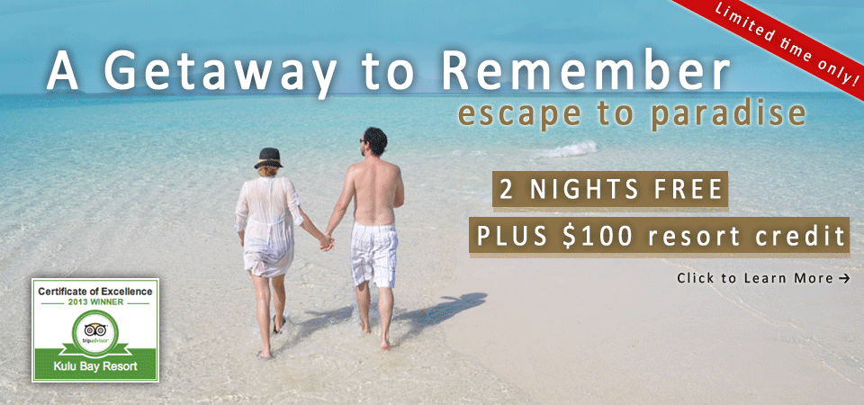 Fiji deals
