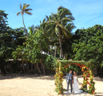 Fiji Wedding