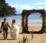 Fiji wedding