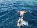 Snorkeling in Fiji