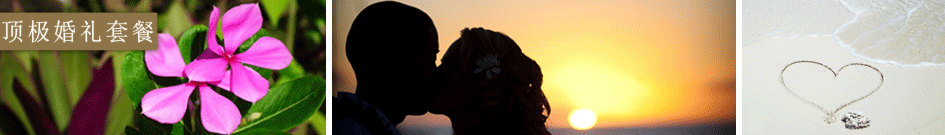 Fiji wedding package